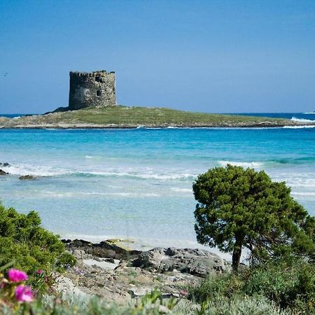 Апартаменты Vacanze Sardegna Санта-Тереза-Галлура Экстерьер фото
