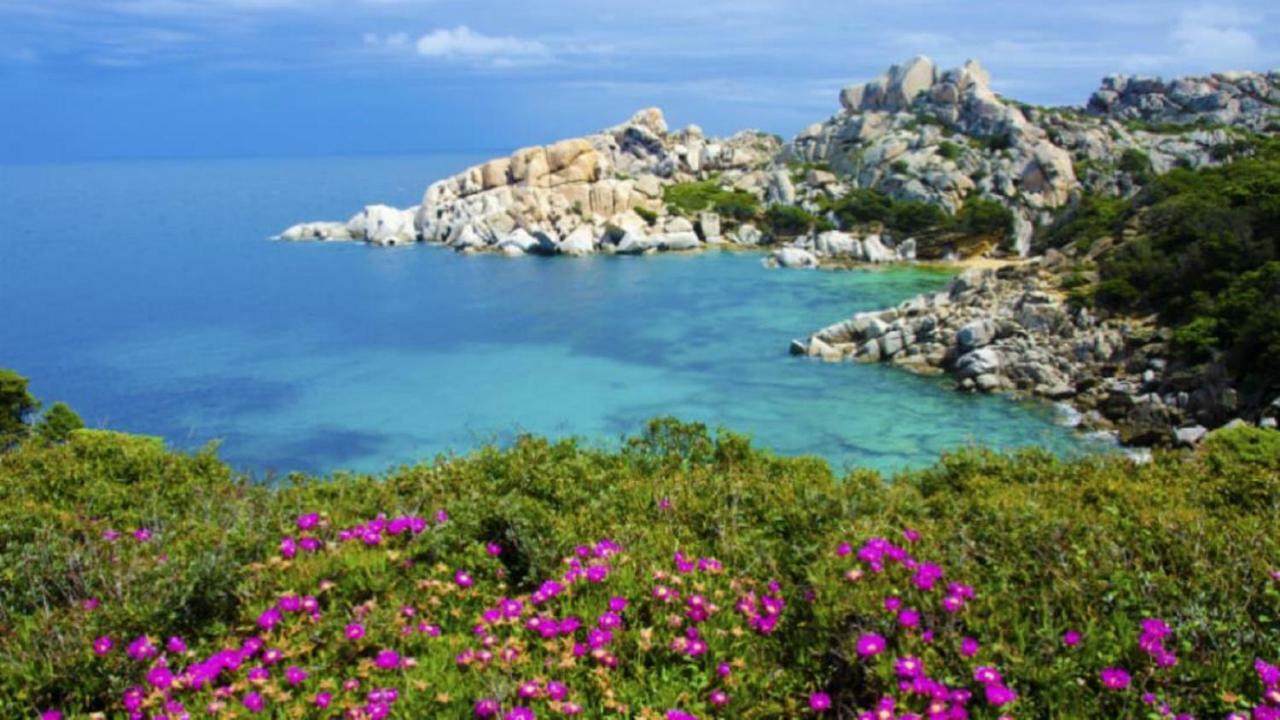 Апартаменты Vacanze Sardegna Санта-Тереза-Галлура Экстерьер фото