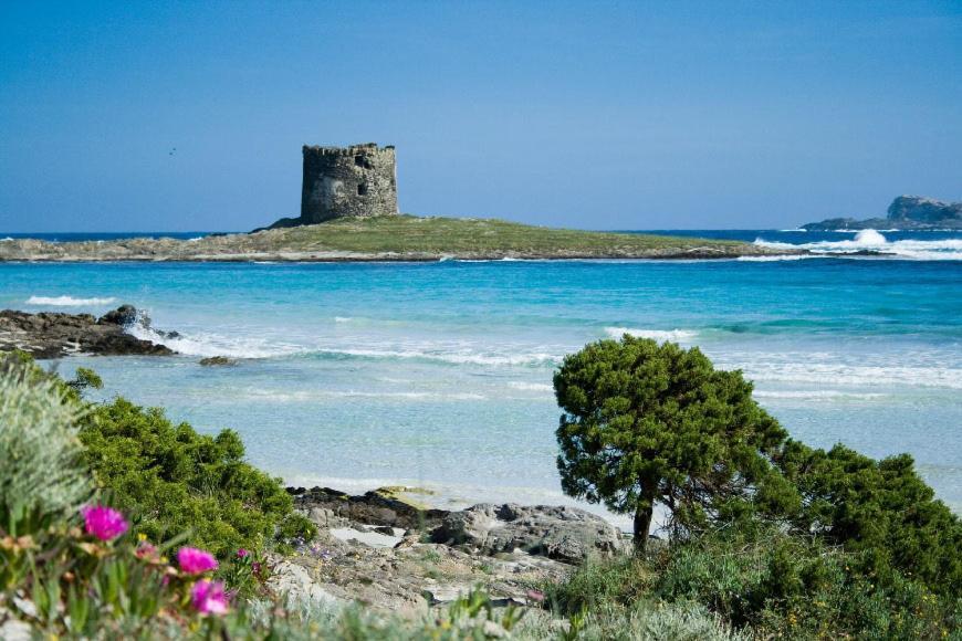 Апартаменты Vacanze Sardegna Санта-Тереза-Галлура Экстерьер фото